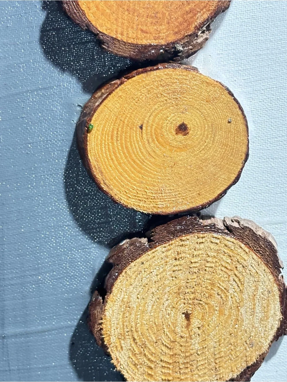 Natural Wood Slice Wall Art in Yellow and Brown - Unbranded